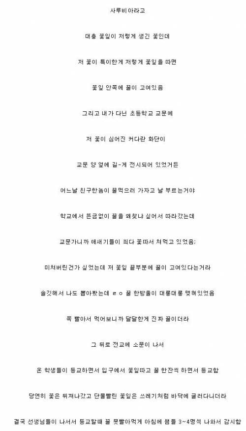 초딩때 꽃 빨고 다닌썰.jpg