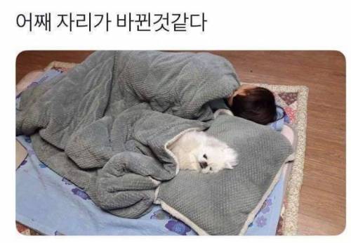 상전이 따로 없네.jpg