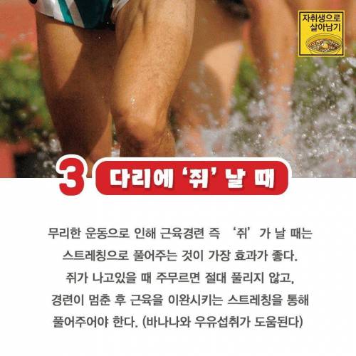 자취생으로 살아남기.jpg