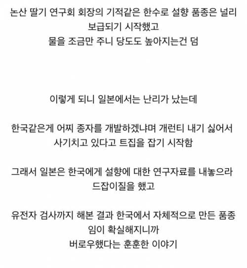 국내 딸기 품종 '설향'의 위엄.jpg