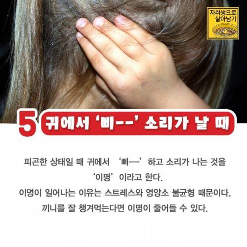 자취생으로 살아남기.jpg