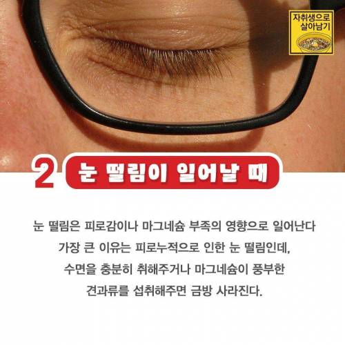 자취생으로 살아남기.jpg