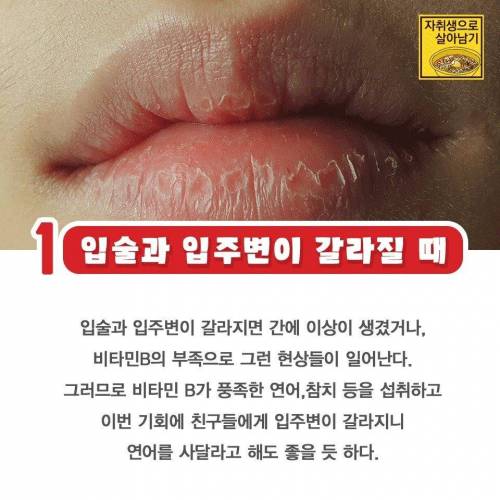 자취생으로 살아남기.jpg