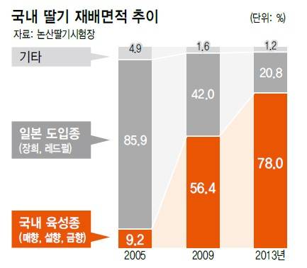 국내 딸기 품종 '설향'의 위엄.jpg