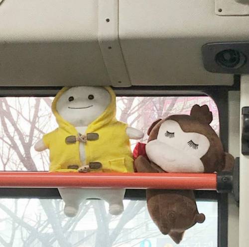 창원 시내버스...jpg