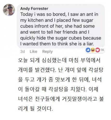 양키 인성 수듄.jpg