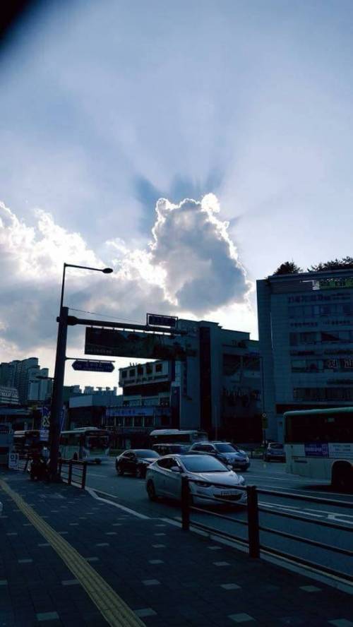 햄지창조.jpg
