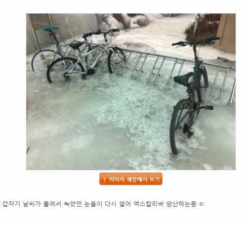 강원도 근황.jpg