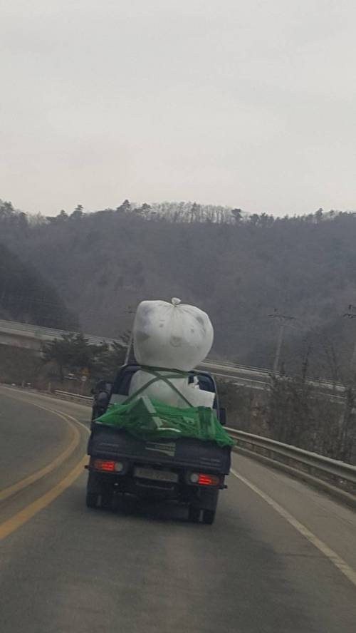 올사호팽.jpg