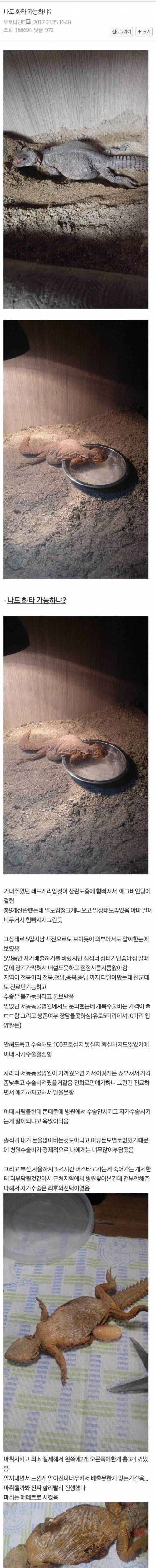 [약약혐] 파충류 수술한 썰.jpg