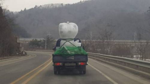 올사호팽.jpg