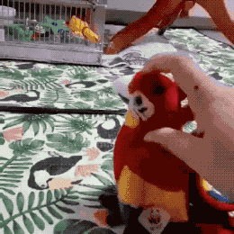 인형에게 질투심 폭발.gif