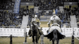중세결투 마상창시합.gif