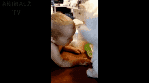 야~ 나 잘보고 배우라냥~.gif