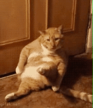 똥꼬가 가려운데 발에서 치킨맛이난다..gif