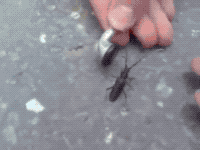벅스뮤직.gif