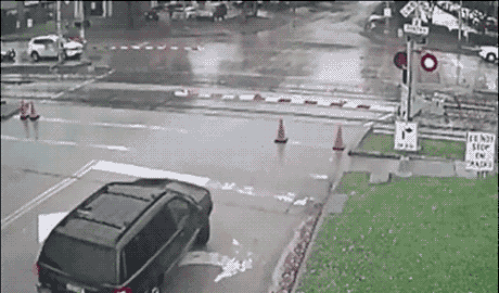 나는 생각이 없다 왜냐하면 생각이 없기 때문이다.gif