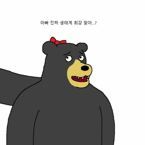아빠곰이 딸한테 쎈척하는 만화.mp4