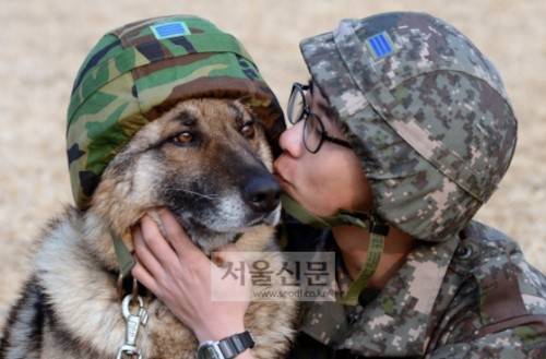 개같은 선임.jpg
