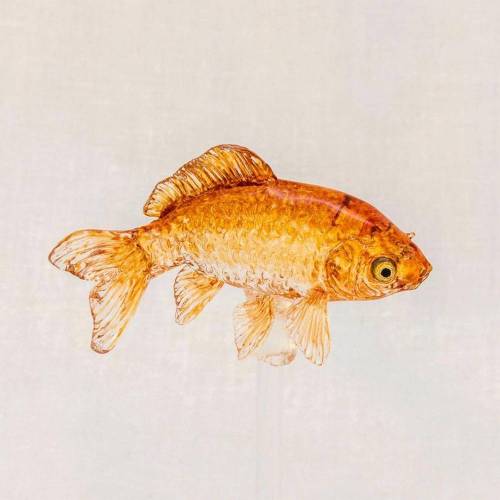 일본 장인이 만드는 사탕.jpg
