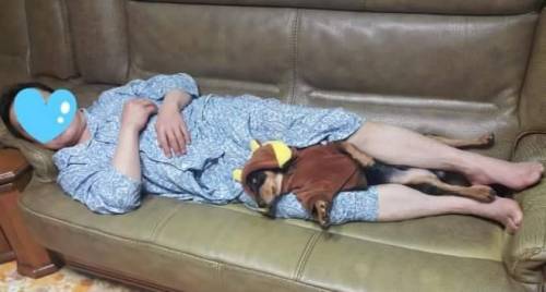 개키우면 갖다 버리겠다던 아버지근황
