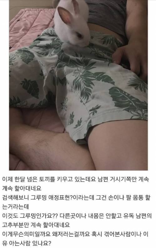 토끼 때문에 고민이예요.jpg