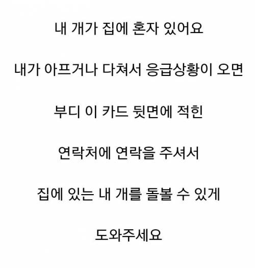 혼자사는 애견인의 카드.jpg