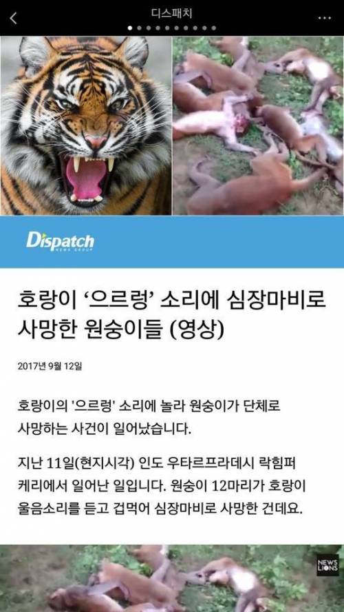 으르렁 소리에.. jpg