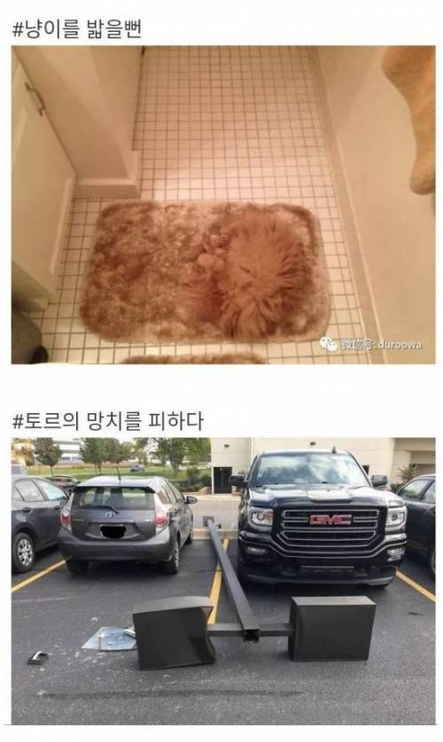 아찔한 순간들....jpg