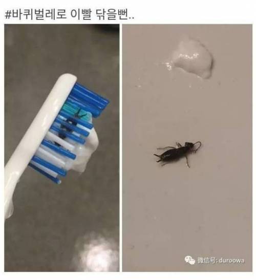아찔한 순간들....jpg