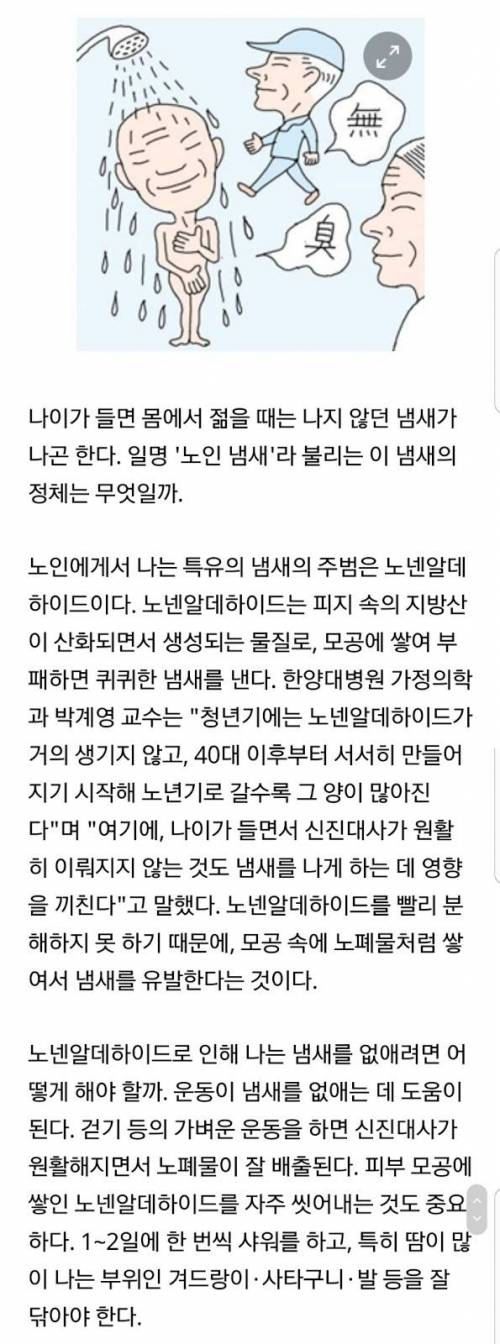 노인 냄새의 원인 .jpg