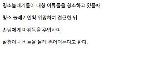 더러운것을 보면 참지 못하는 물고기.jpgif