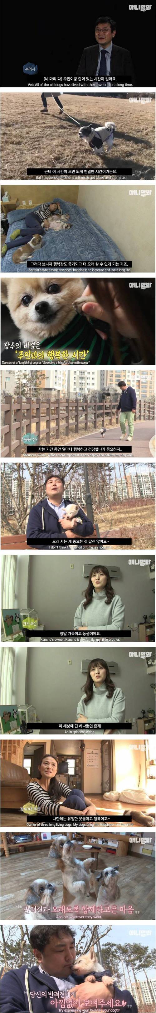 장수견들의 비밀.jpg