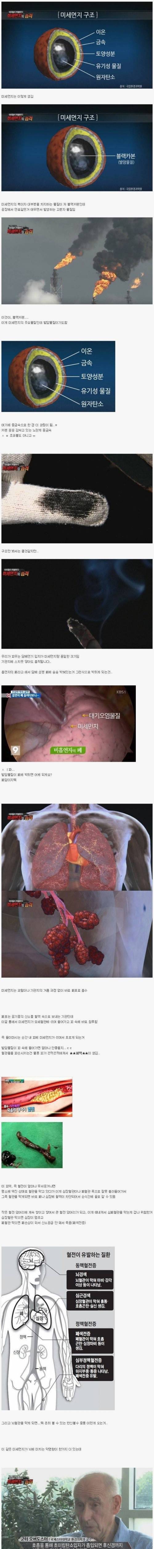 미세먼지는 왜 위험한가.jpg