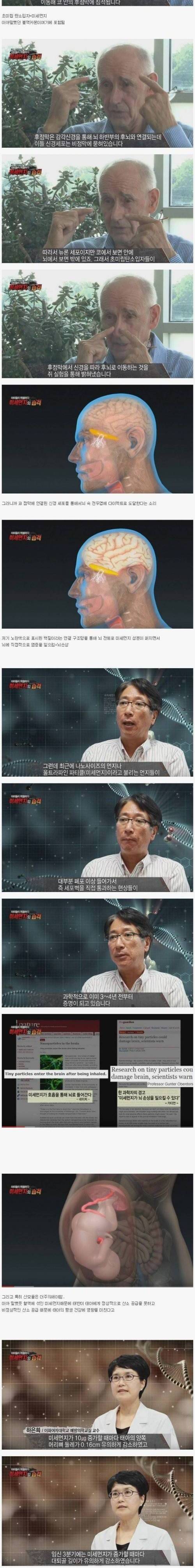 미세먼지는 왜 위험한가.jpg