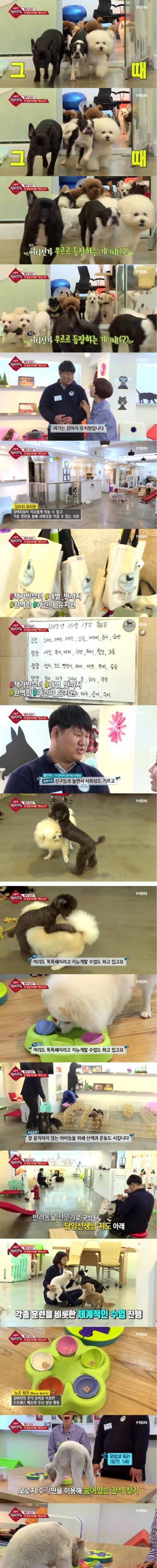 요즘 흥한다는 유치원.jpg