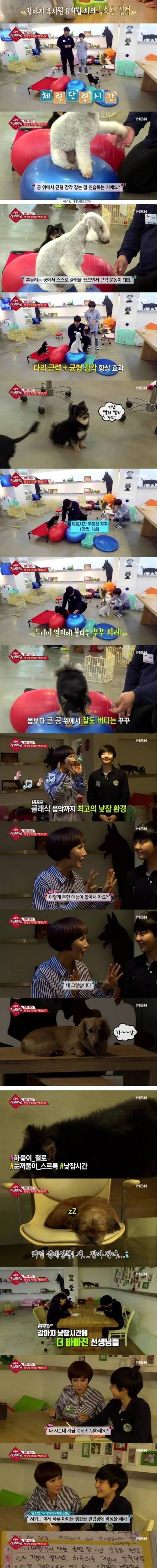 요즘 흥한다는 유치원.jpg