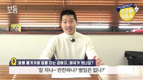 강아지가 방을 옮겨 가면서 자는 이유.jpg