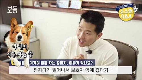 강아지가 방을 옮겨 가면서 자는 이유.jpg