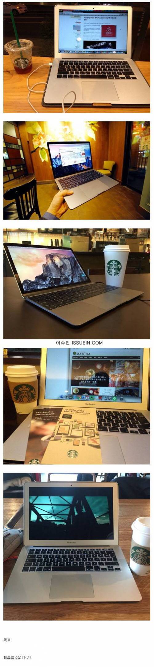 스타벅스 필수품.jpg