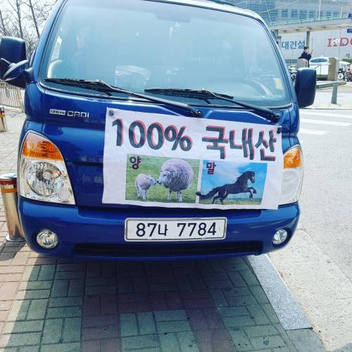 100% 국내산 양 말.jpg