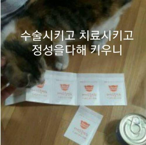 유정호씨네 고양이 이야기.jpg