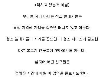 더러운것을 보면 참지 못하는 물고기.jpgif