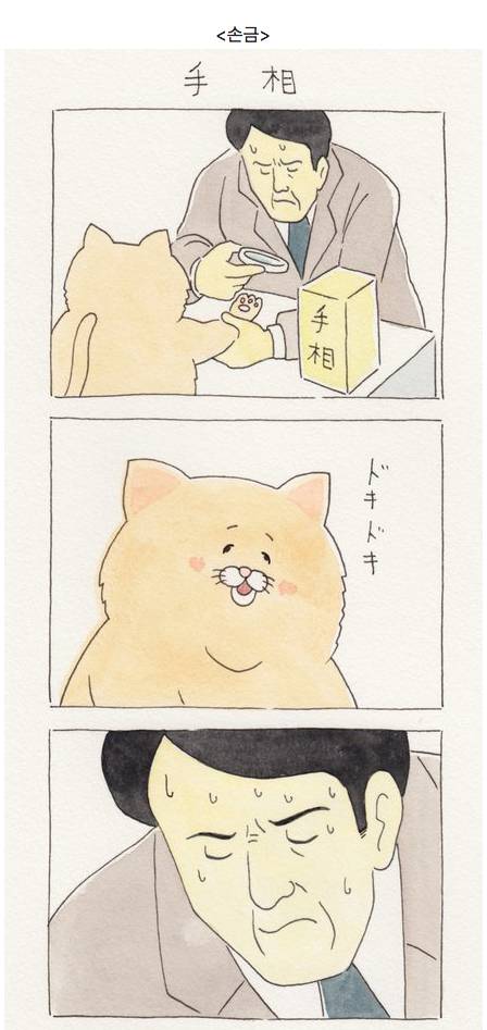 유감스러운 고양이 만화.jpg