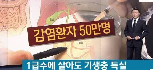1급수에서 사는 민물고기 기생충 득실.jpg