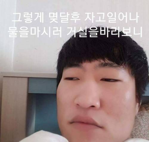 유정호씨네 고양이 이야기.jpg