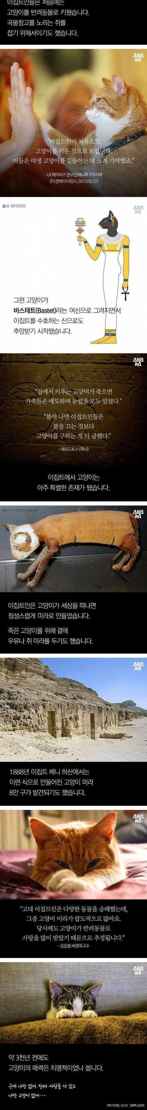 고양이 좋아하다 개망함.jpg