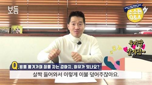 강아지가 방을 옮겨 가면서 자는 이유.jpg