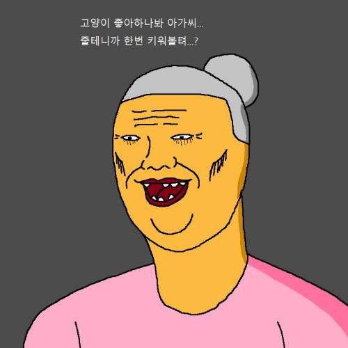 귀신을 부르는 고양이.jpg