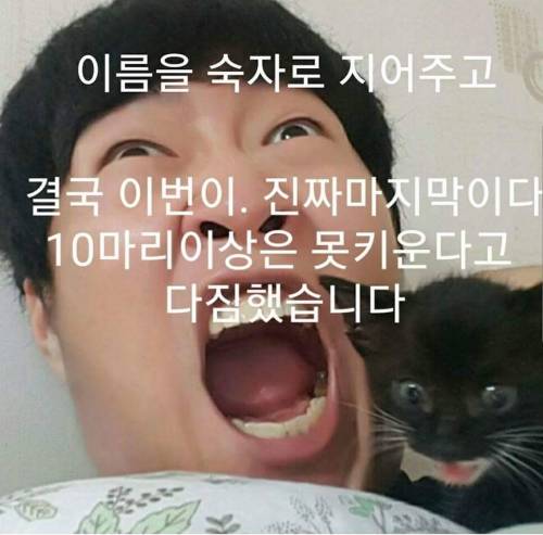 유정호씨네 고양이 이야기.jpg